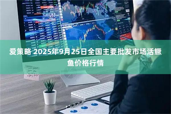 爱策略 2025年9月25日全国主要批发市场活鳜鱼价格行情